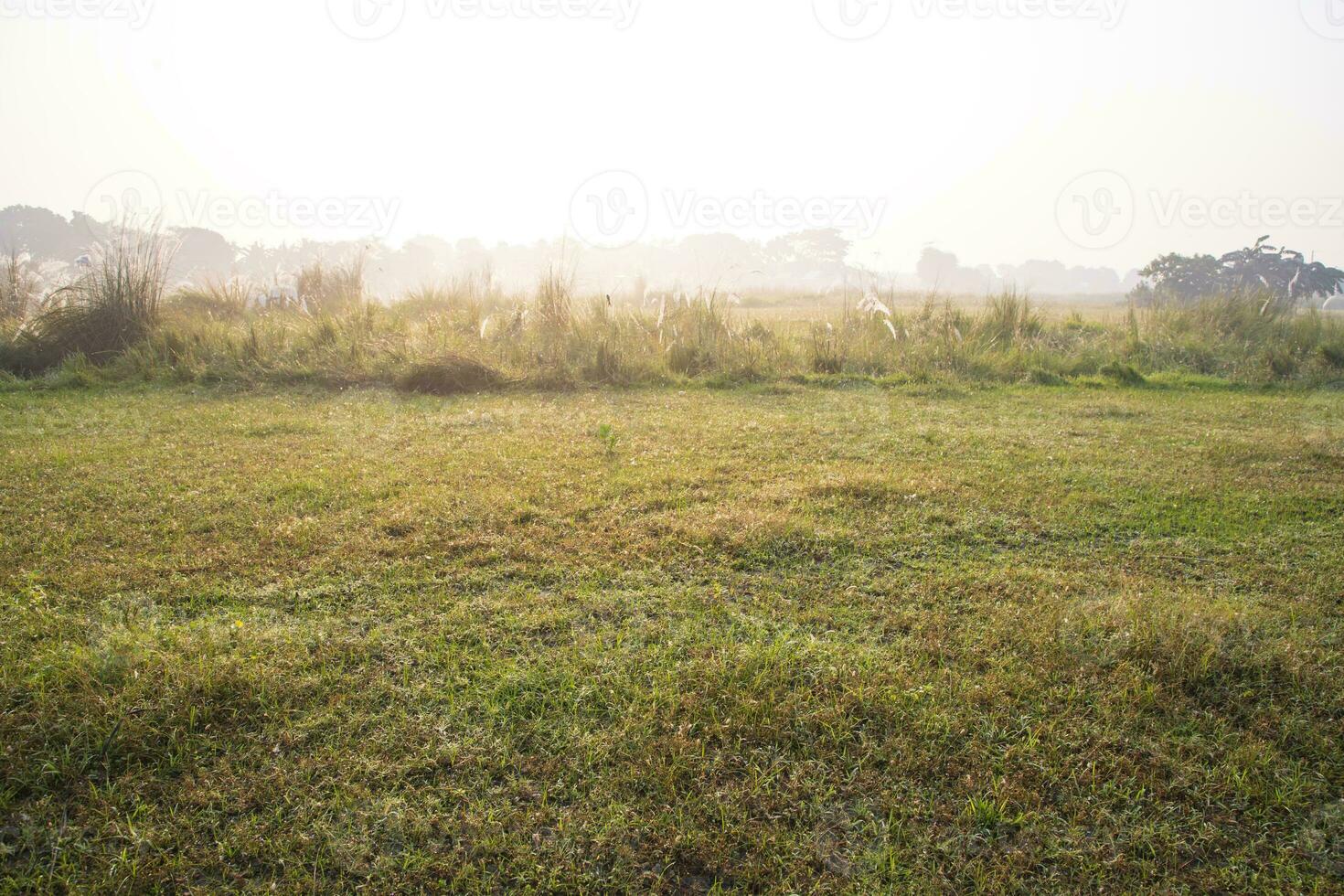Foggy Green Field in Morning Sunrise photo