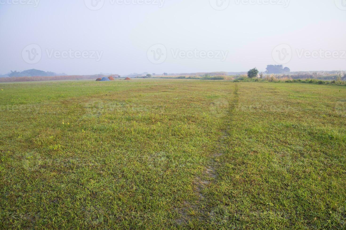 Foggy Green Field in Morning Sunrise photo