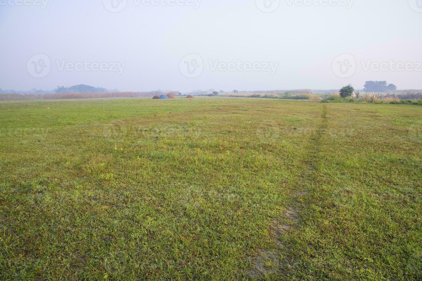 Foggy Green Field in Morning Sunrise photo