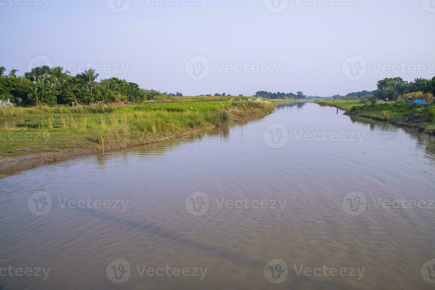 Canal with green grass and vegetation reflected in the water near Padma River in Bangladesh photo