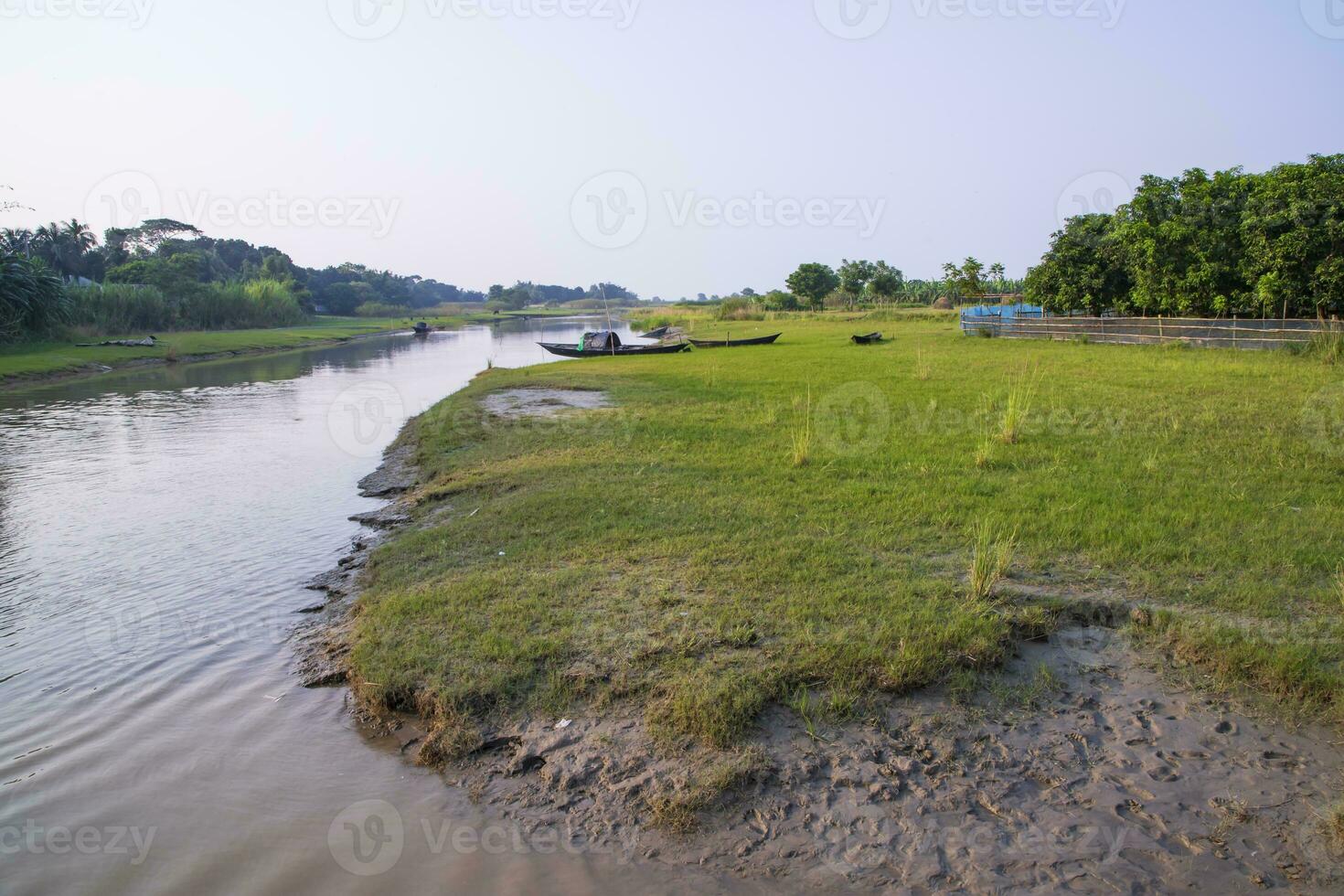 Canal with green grass and vegetation reflected in the water near Padma River in Bangladesh photo