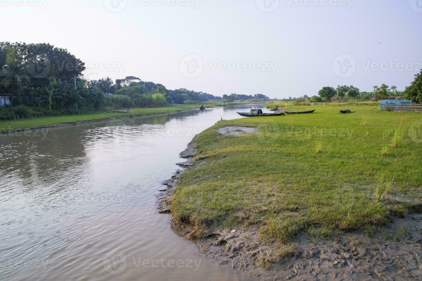 Canal with green grass and vegetation reflected in the water near Padma River in Bangladesh photo