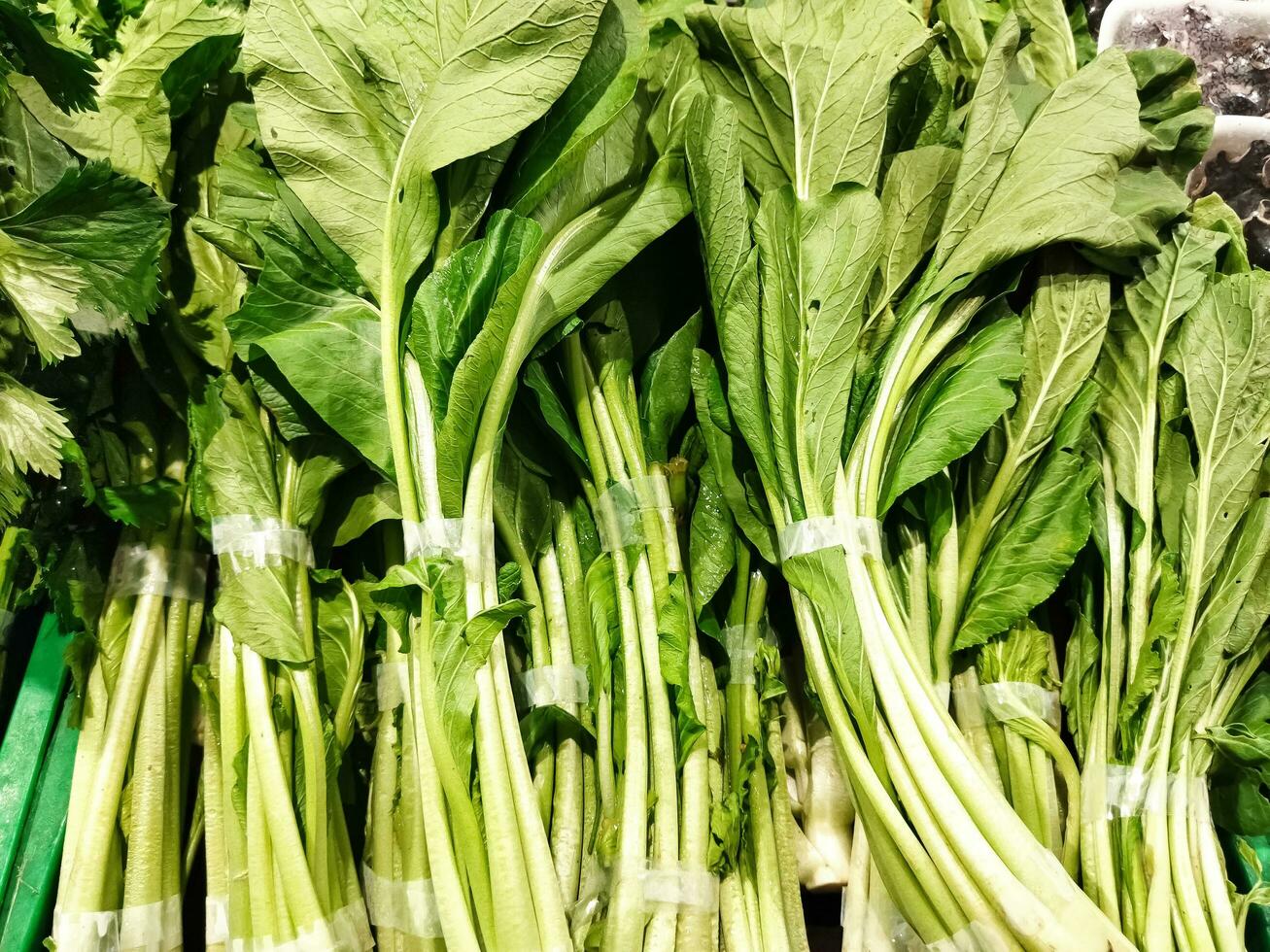 Vegetables display on green rack at a groceries store. photo