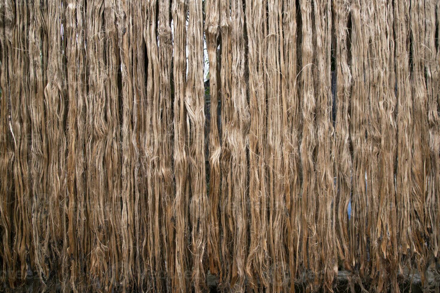 Golden Jute fiber pattern texture can be used as background wallpaper. This is the Called Golden Fiber in Bangladesh photo