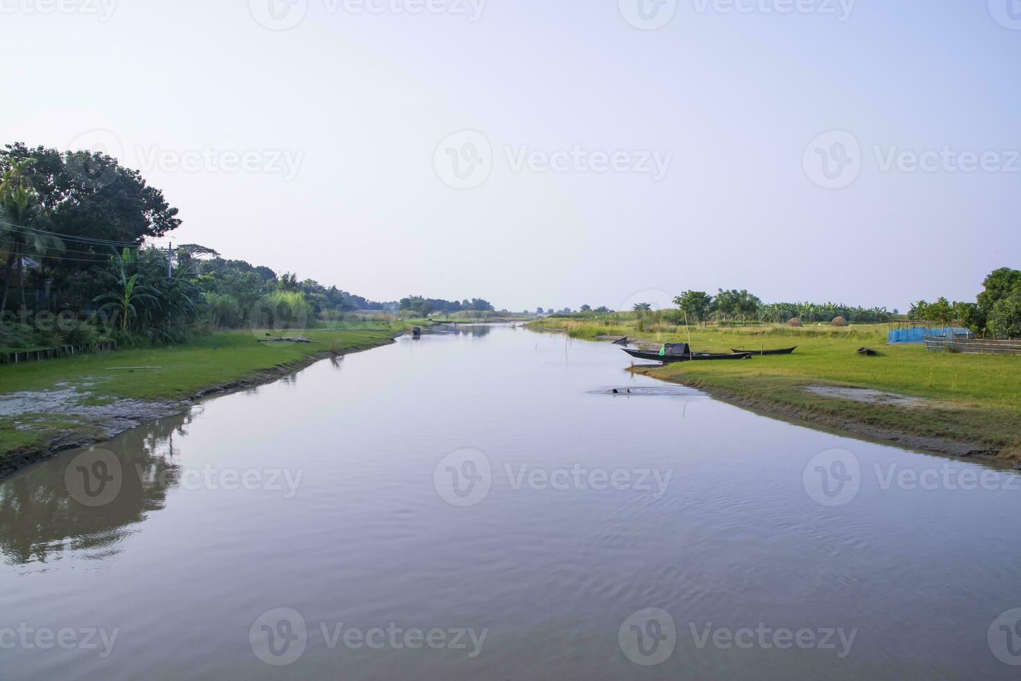 Canal with green grass and vegetation reflected in the water near Padma River in Bangladesh photo