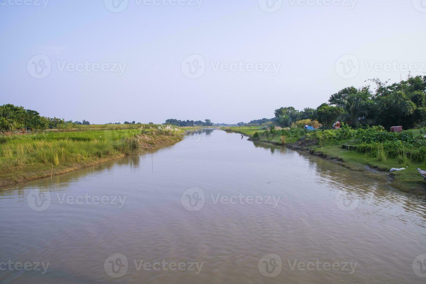 Canal with green grass and vegetation reflected in the water near Padma River in Bangladesh photo