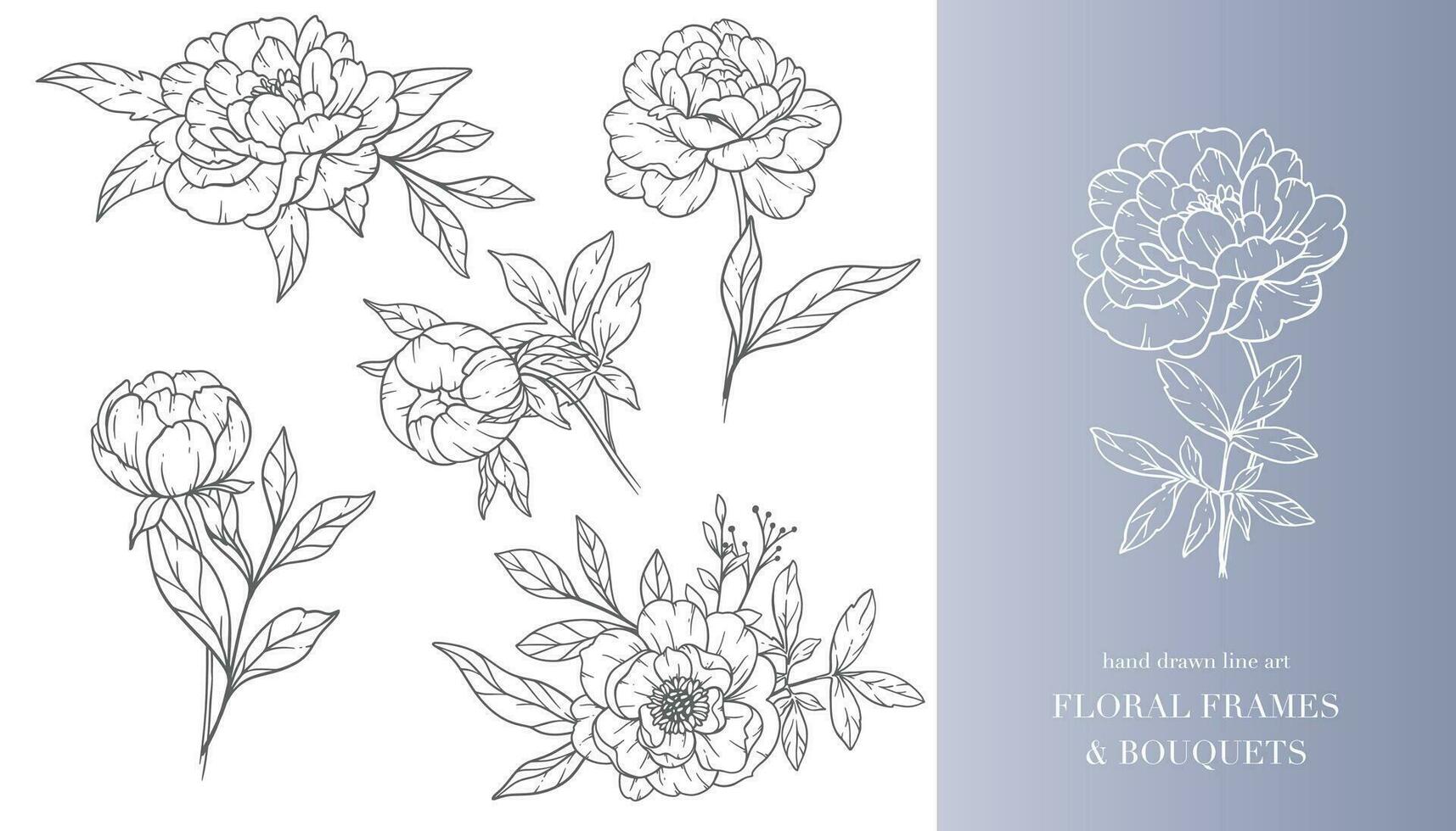 Peony Flower Line Art. Floral Frames and Bouquets Line Art. Fine Line Peony Frames Hand Drawn Illustration. Hand Draw Outline Leaves and Flowers. Botanical Coloring Page. Outline peony Isolated vector