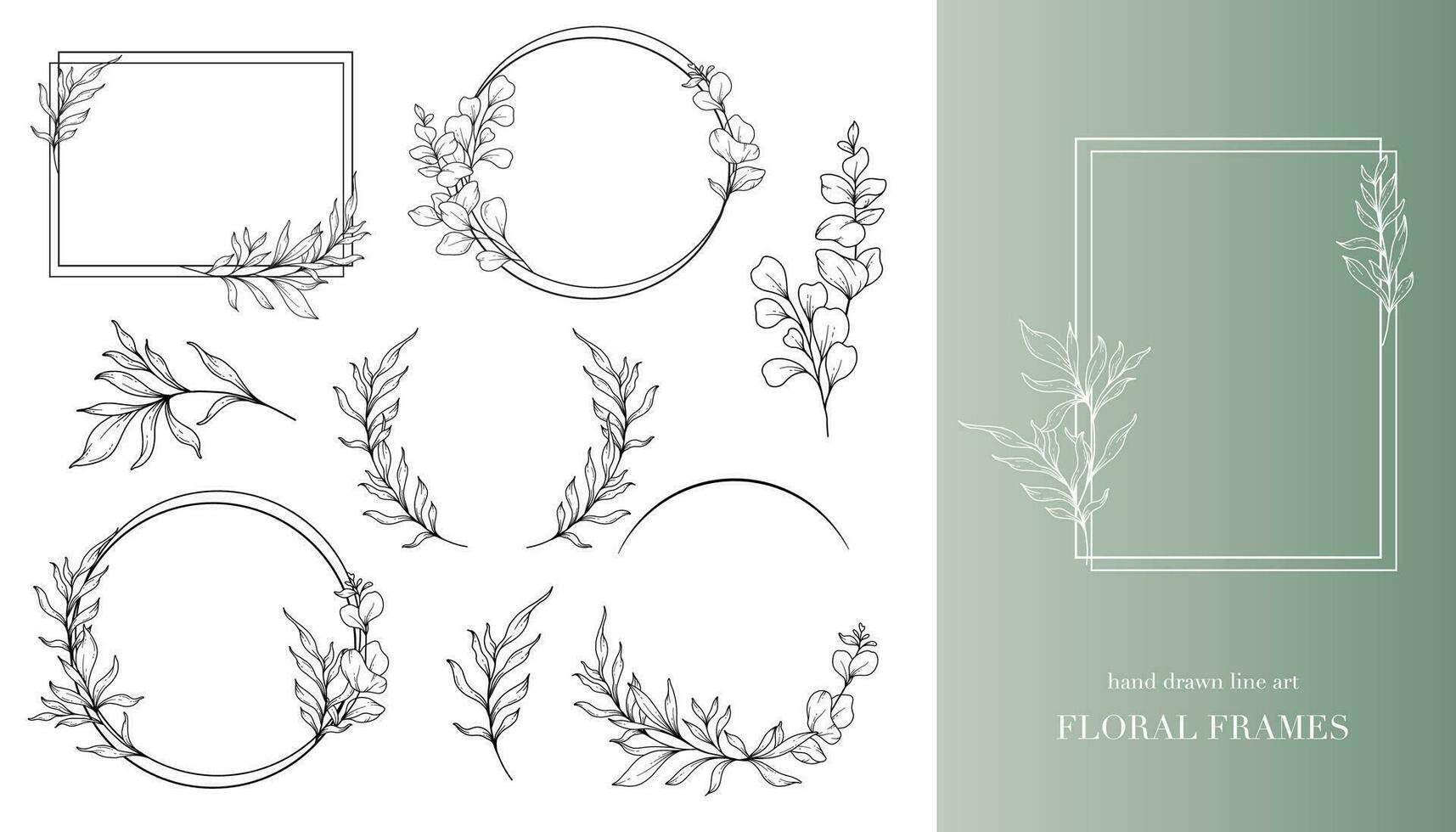 Eucalyptus Line Art. Floral Frames and Bouquets Line Art. Fine Line Eucalyptus Frames Hand Drawn Illustration. Hand Draw Outline Leaves and Flowers. Botanical Coloring Page. Eucalyptus Isolated vector