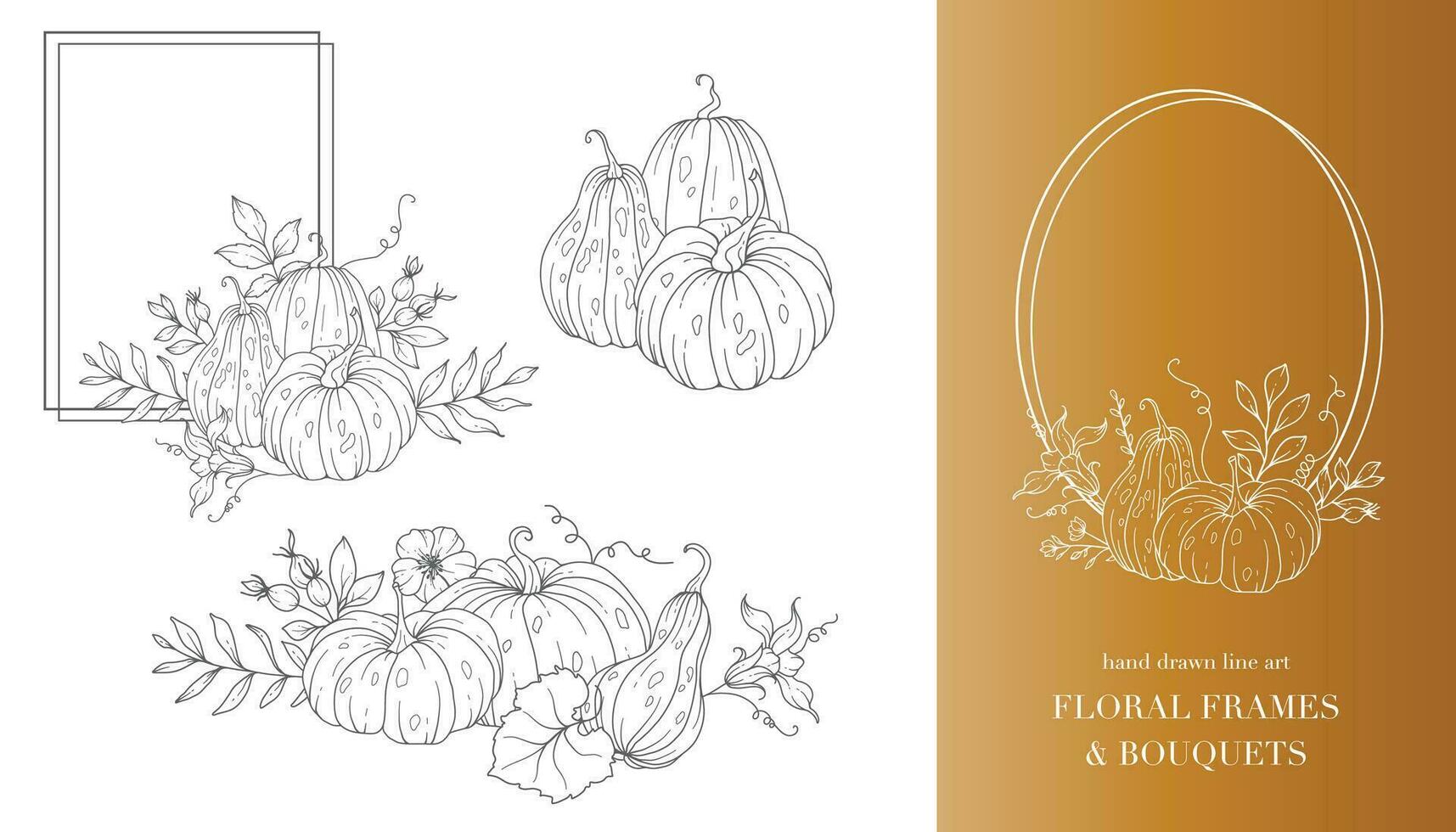 Pumpkins Line Art Illustration, Outline Pumpkin arrangement Hand Drawn Illustration. Coloring Page with Pumpkins.  Thanksgiving Pumpkins Frame. Thanksgiving Pumpkins set vector