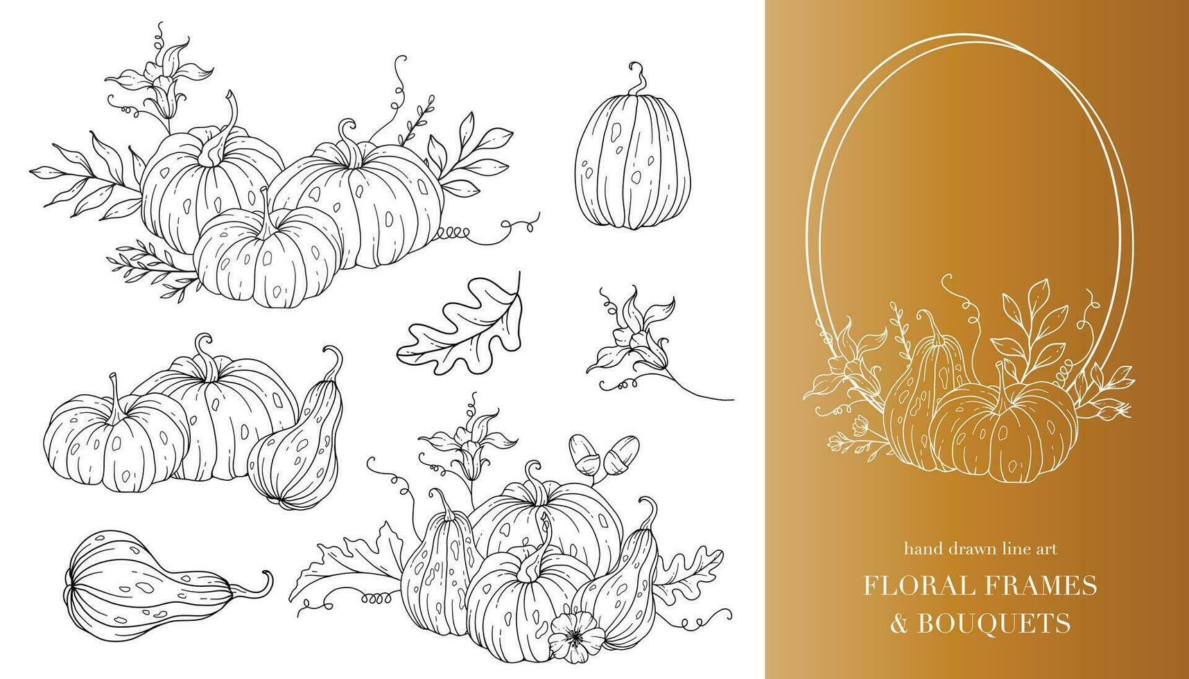 Pumpkins Line Art Illustration, Outline Pumpkin arrangement Hand Drawn Illustration. Coloring Page with Pumpkins.  Thanksgiving Pumpkins Frame. Thanksgiving Pumpkins set vector