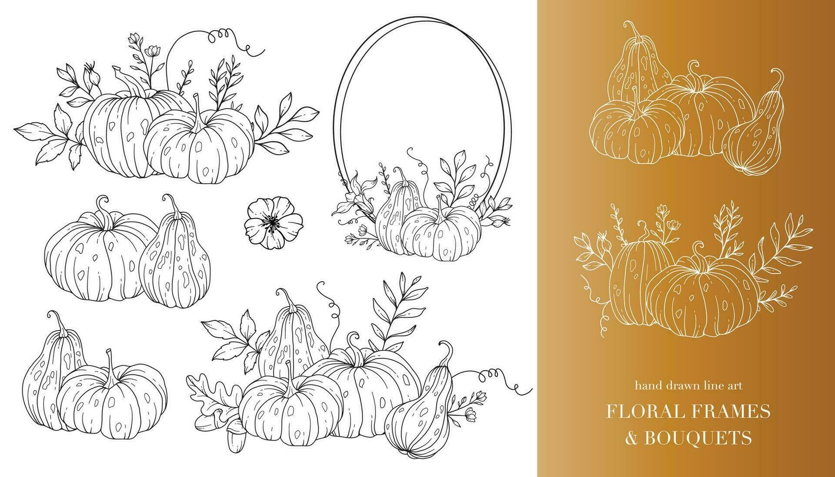 Pumpkins Line Art Illustration, Outline Pumpkin arrangement Hand Drawn Illustration. Coloring Page with Pumpkins.  Thanksgiving Pumpkins Frame. Thanksgiving Pumpkins set vector