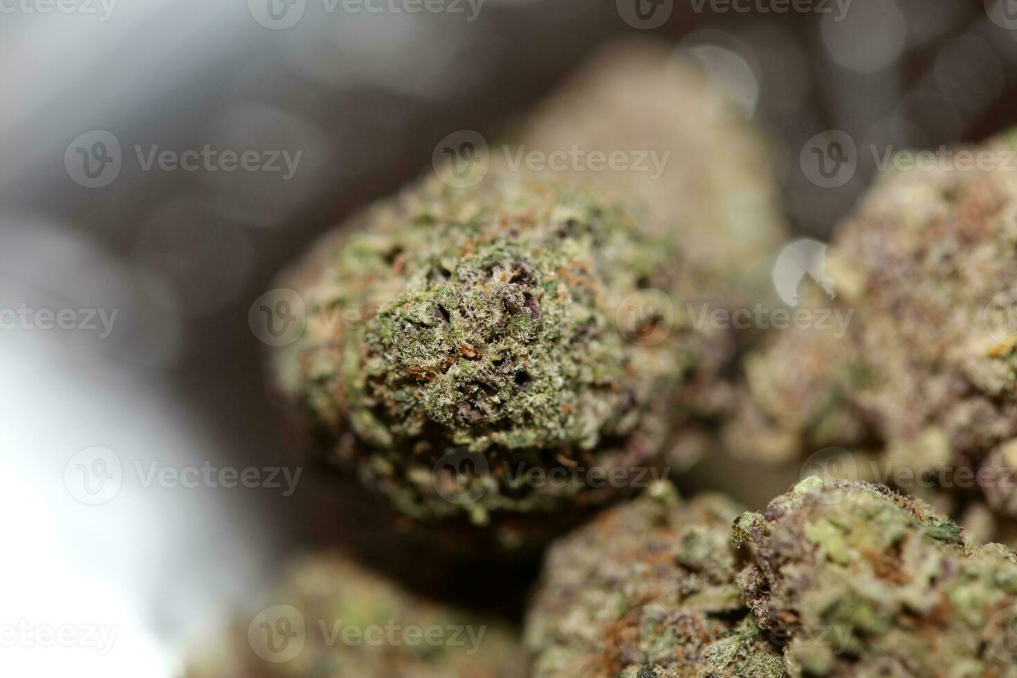Cannabis bud close up medical grass smoking amazing purple flowering Cali forbidden fruit variety macro background high quality focus stack fifty megapixels instant printings photo