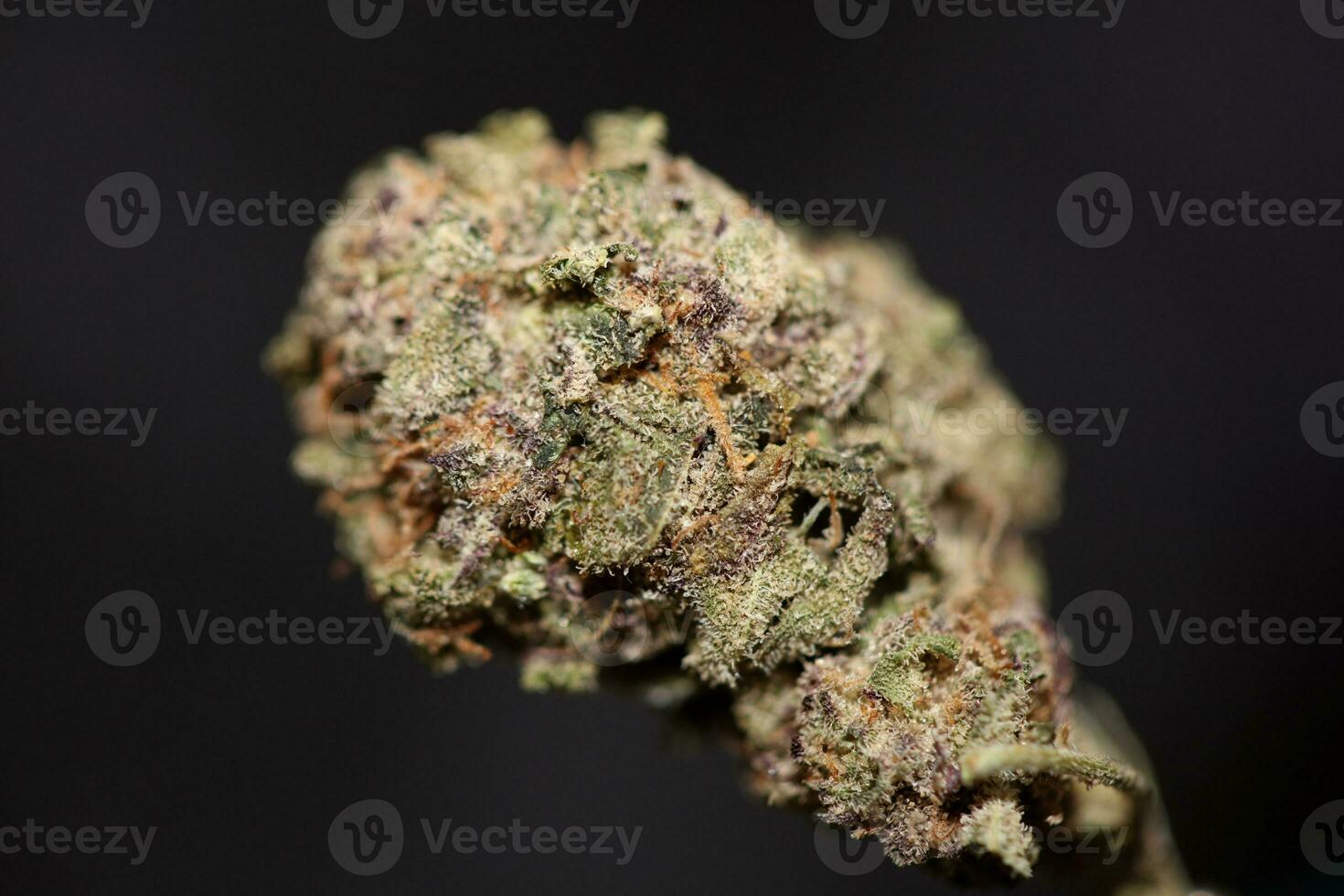 Cannabis bud close up medical grass smoking amazing purple flowering Cali forbidden fruit variety macro background high quality focus stack fifty megapixels instant printings photo