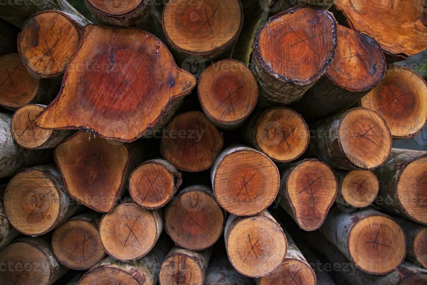 apilado pila madera registros resumen modelo textura lata ser usado como un antecedentes fondo de pantalla foto