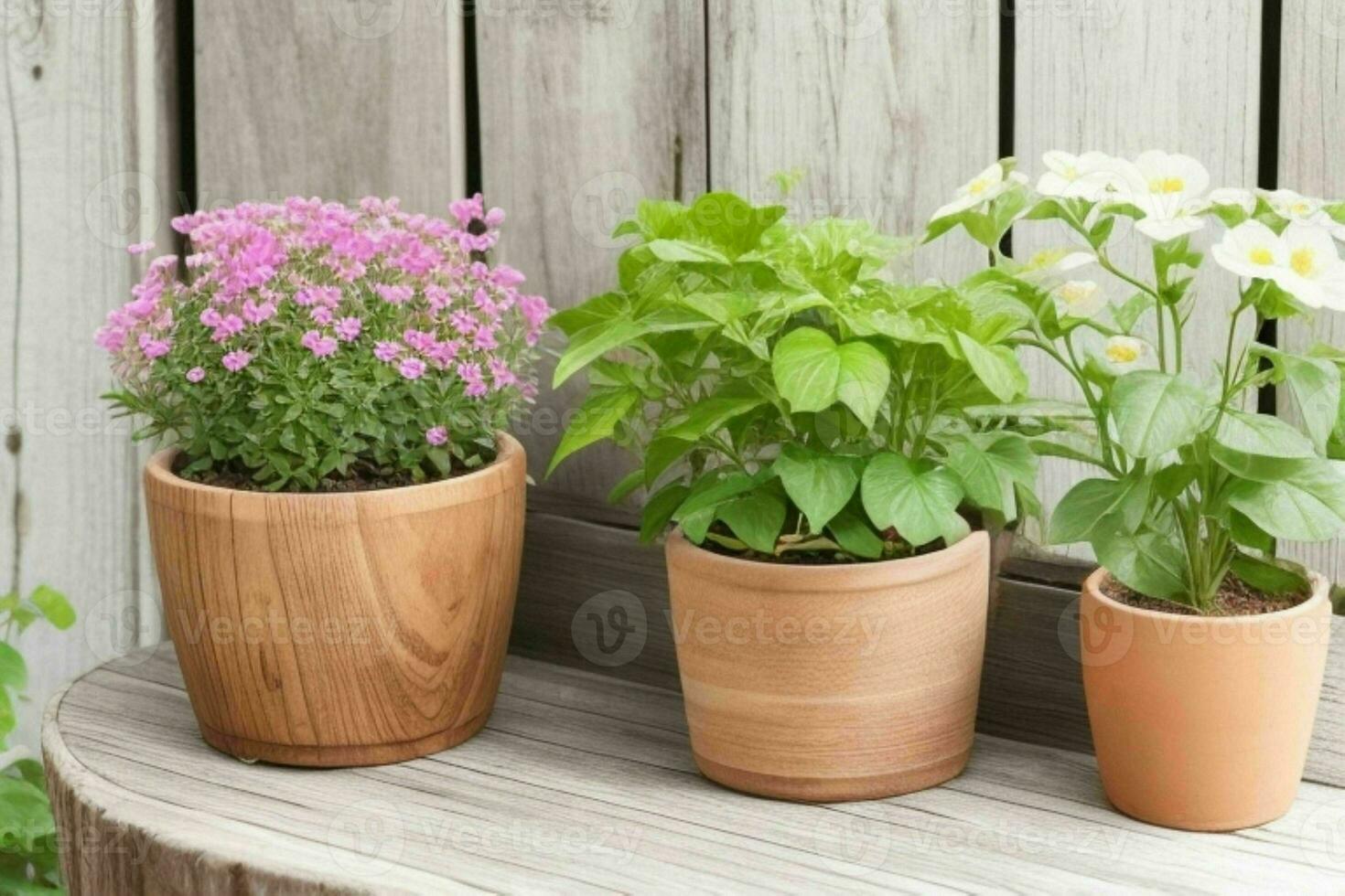 Flower potted plants. background. AI Generative Pro Photo