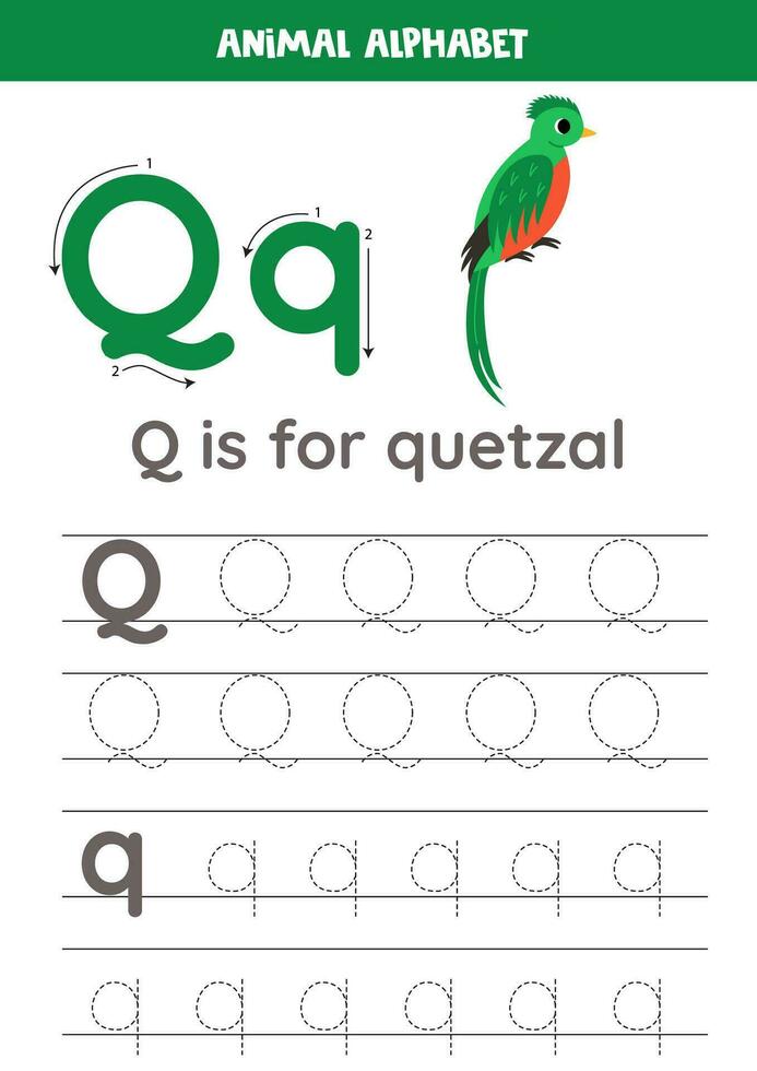 Tracing alphabet letters for kids. Animal alphabet. Q is for quetzal. vector