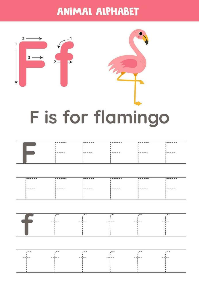 Tracing alphabet letters for kids. Animal alphabet. F is for flamingo. vector