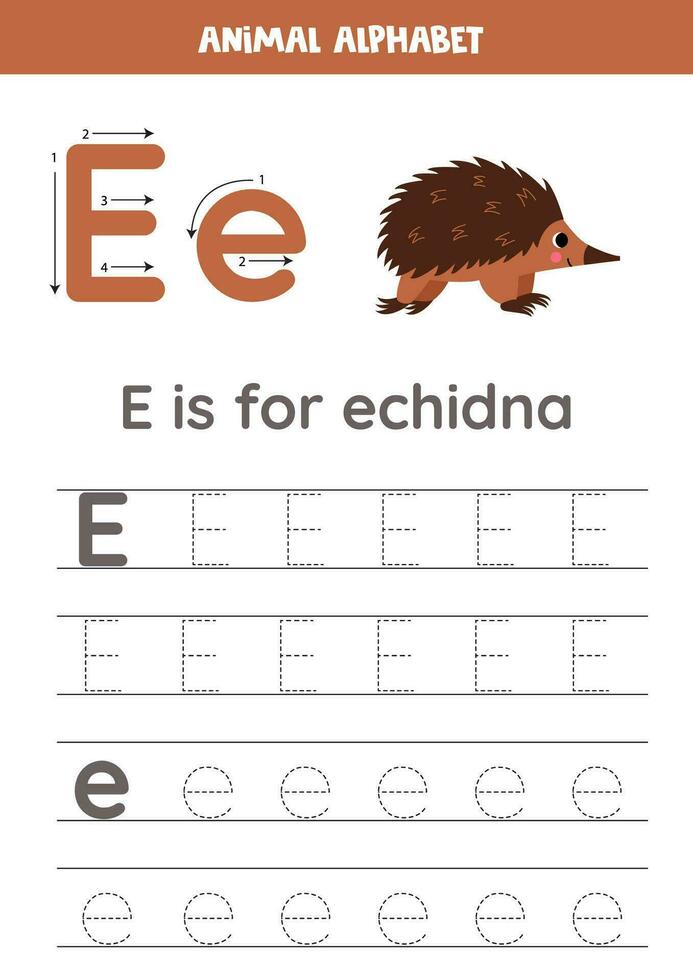 Tracing alphabet letters for kids. Animal alphabet. E is for echidna. vector