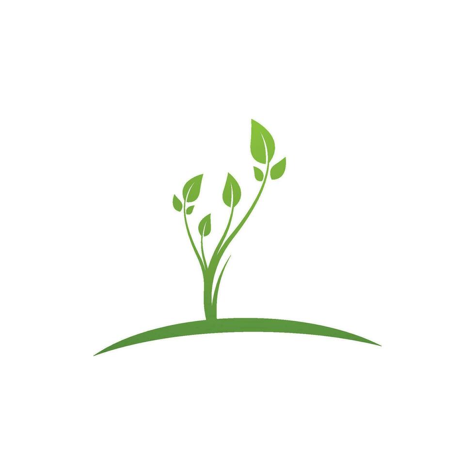 Logos of green Tree leaf ecology vector