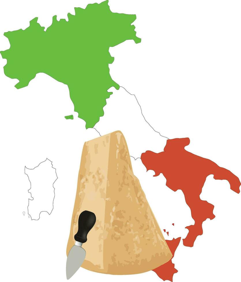 Parmesan cheese aged with a knife vector