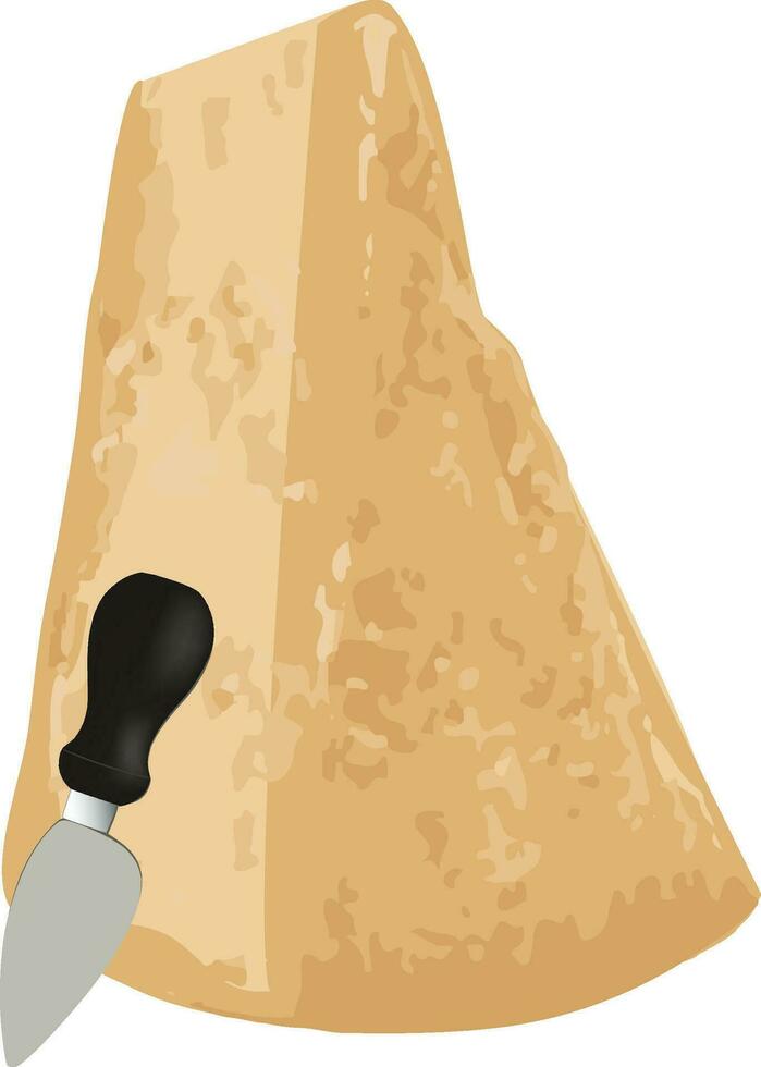 piece of Parmigiano Reggiano cheese and cutting knife- vector