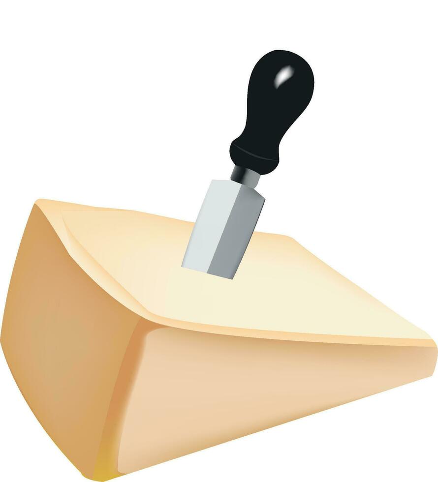 piece of Parmigiano Reggiano cheese and cutting knife- vector