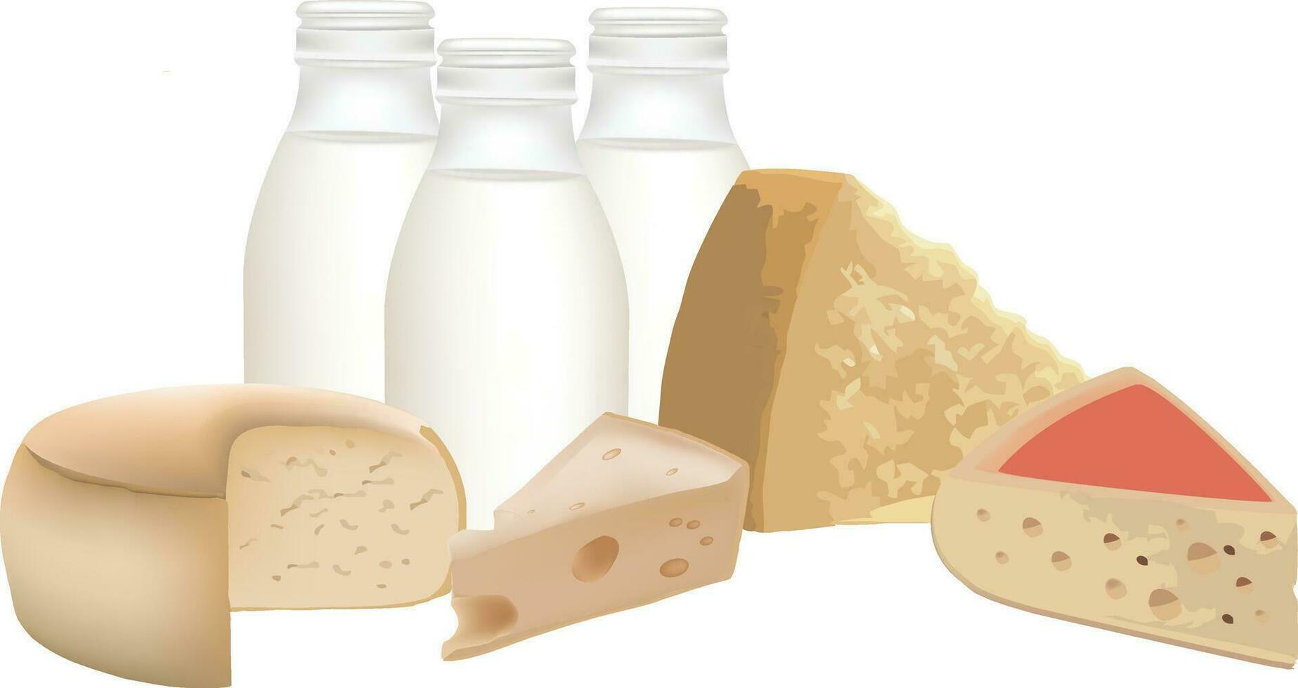milk bottles with cheeses vector