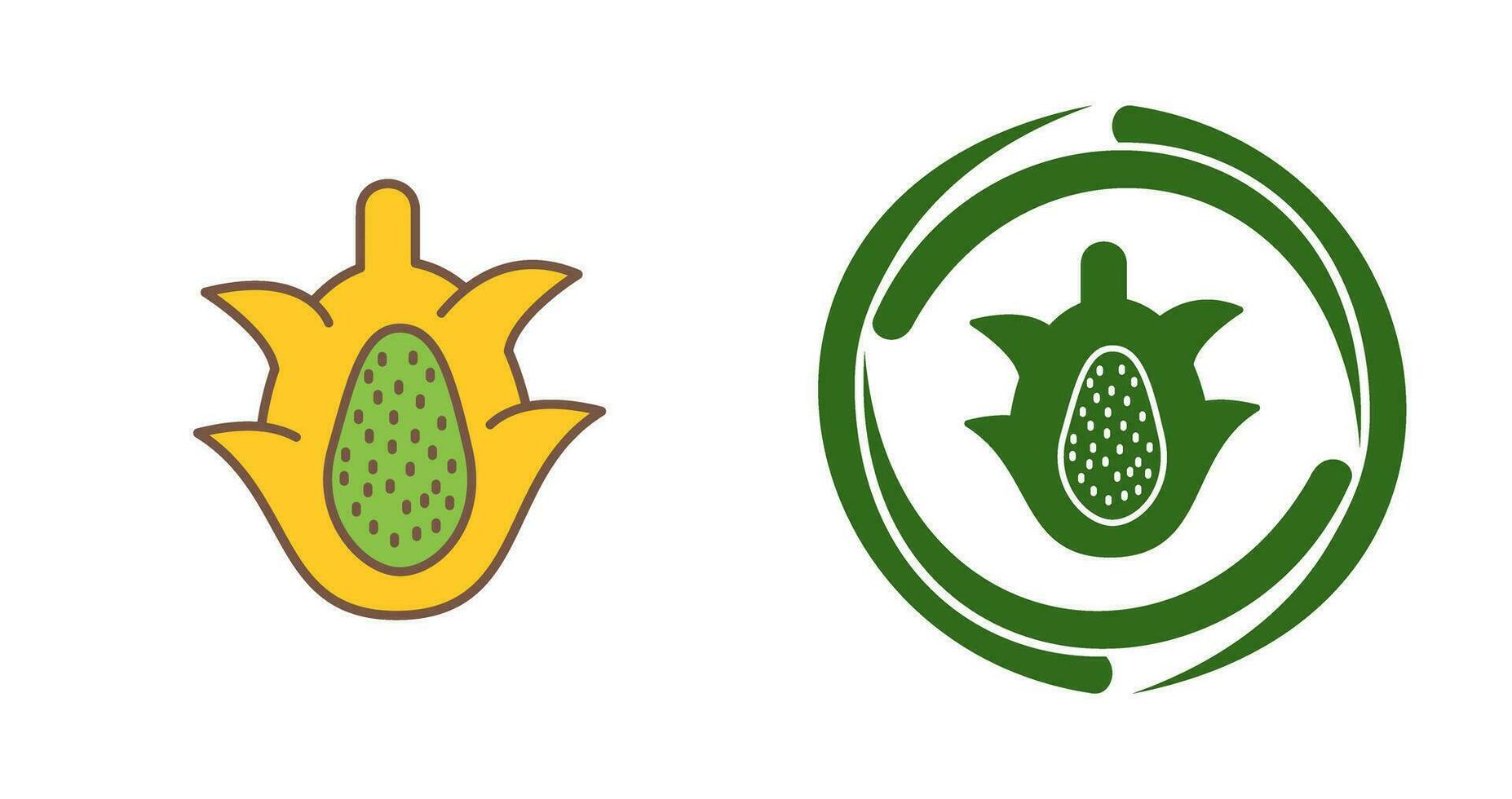 Dragon Fruit Vector Icon