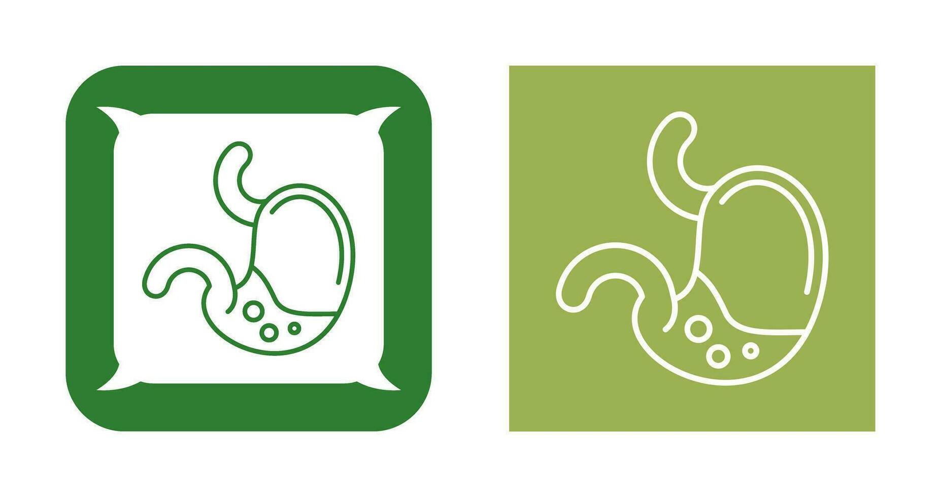 Stomach Vector Icon