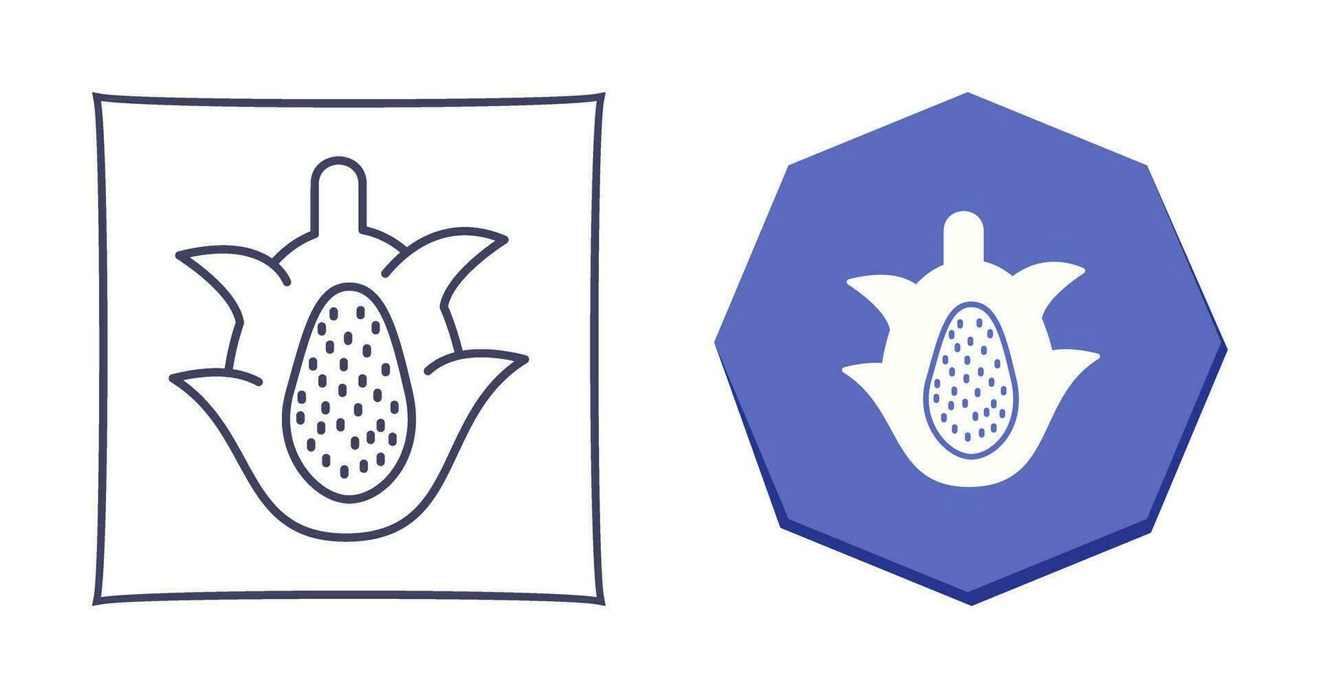 Dragon Fruit Vector Icon