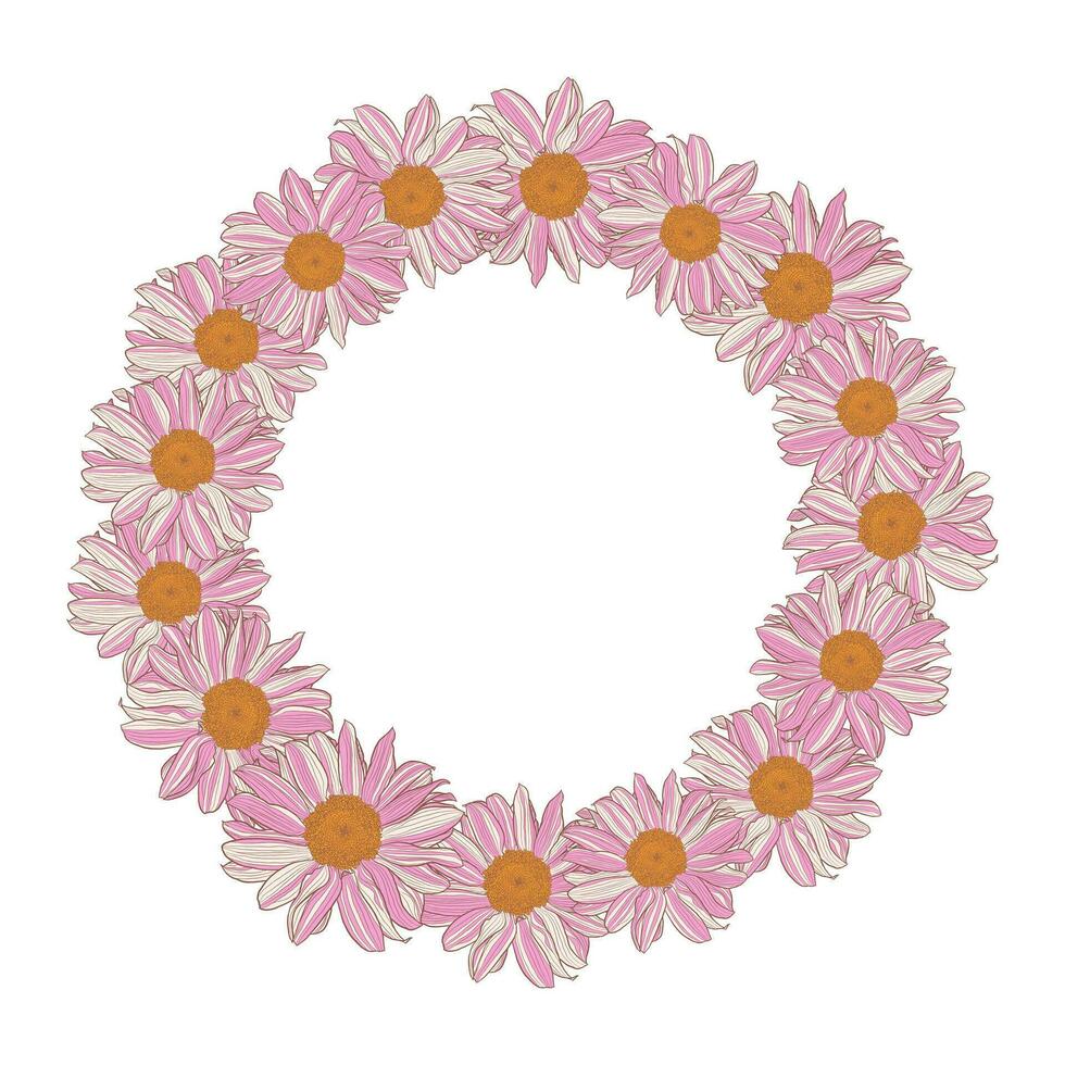 Floral wreath of white-pink-yellow daisies on white background. Vector illustration element with copy space, can be used for greeting cards, invitations, wedding, birthday, easter, packaging design.