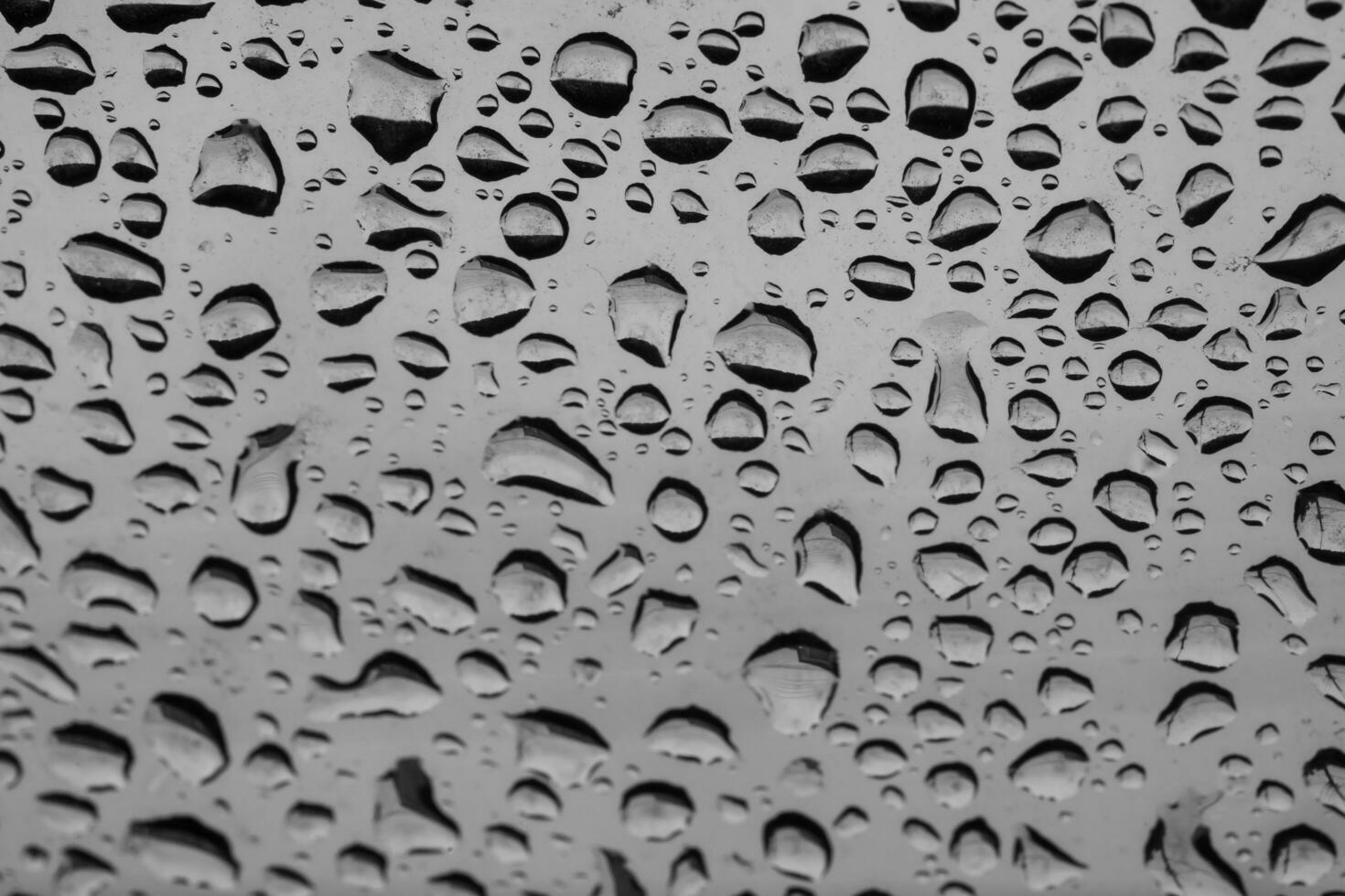 Rain drops cling to the car windshield, selective focus, soft focus. photo