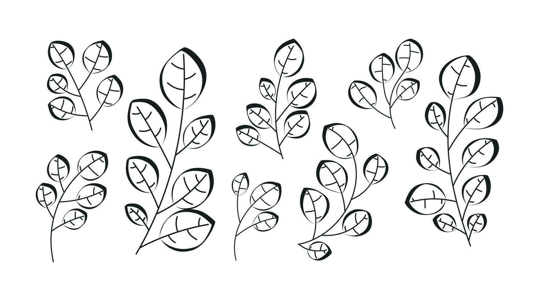 Decorative botanical doodle twigs with leaves. Set of vector isolated black branches.