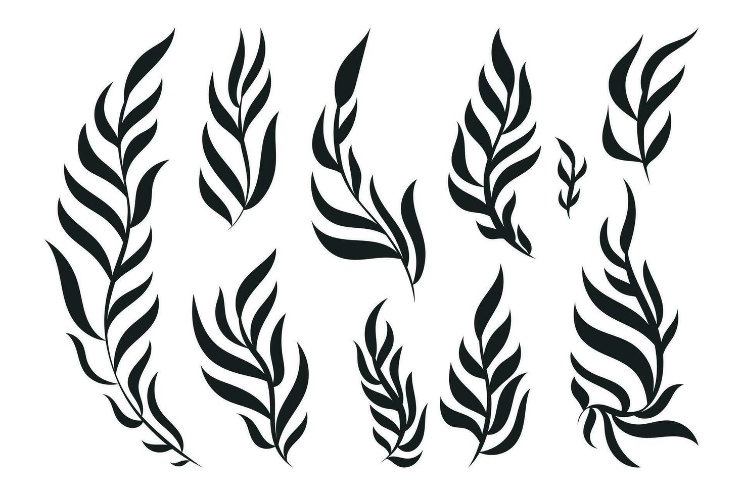 Decorative botanical doodle twigs with leaves. Set of vector isolated black branches.