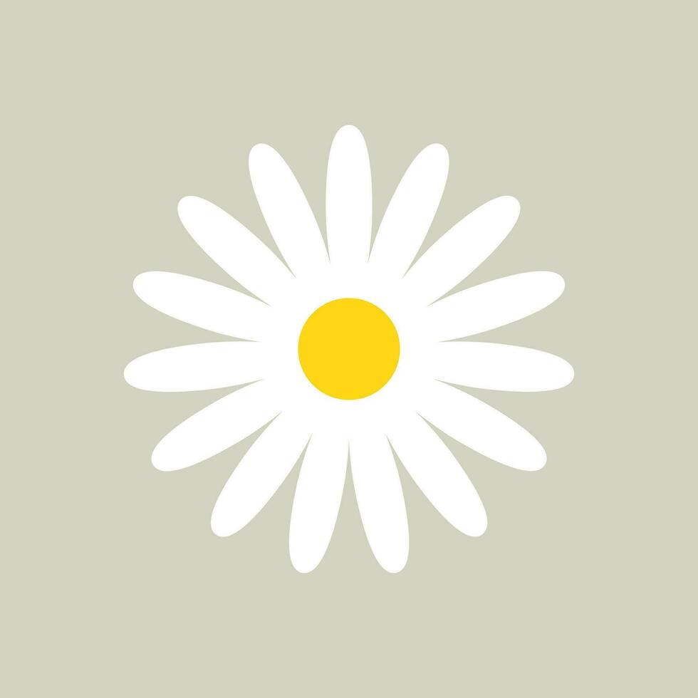 blanco margarita manzanilla flor aislado icono vector ilustración