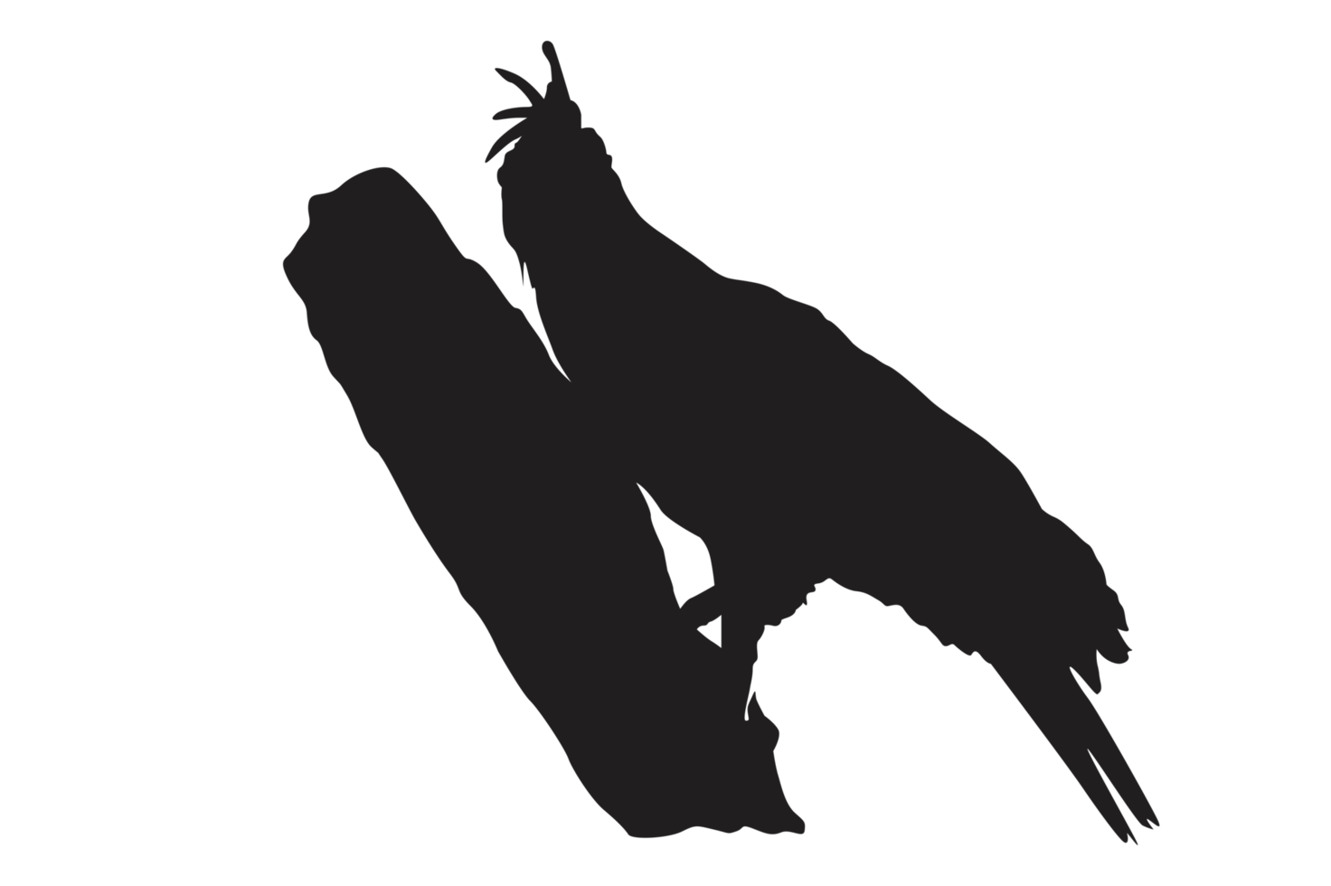 Pose Of Eagle Silhouette With Transparent Background png