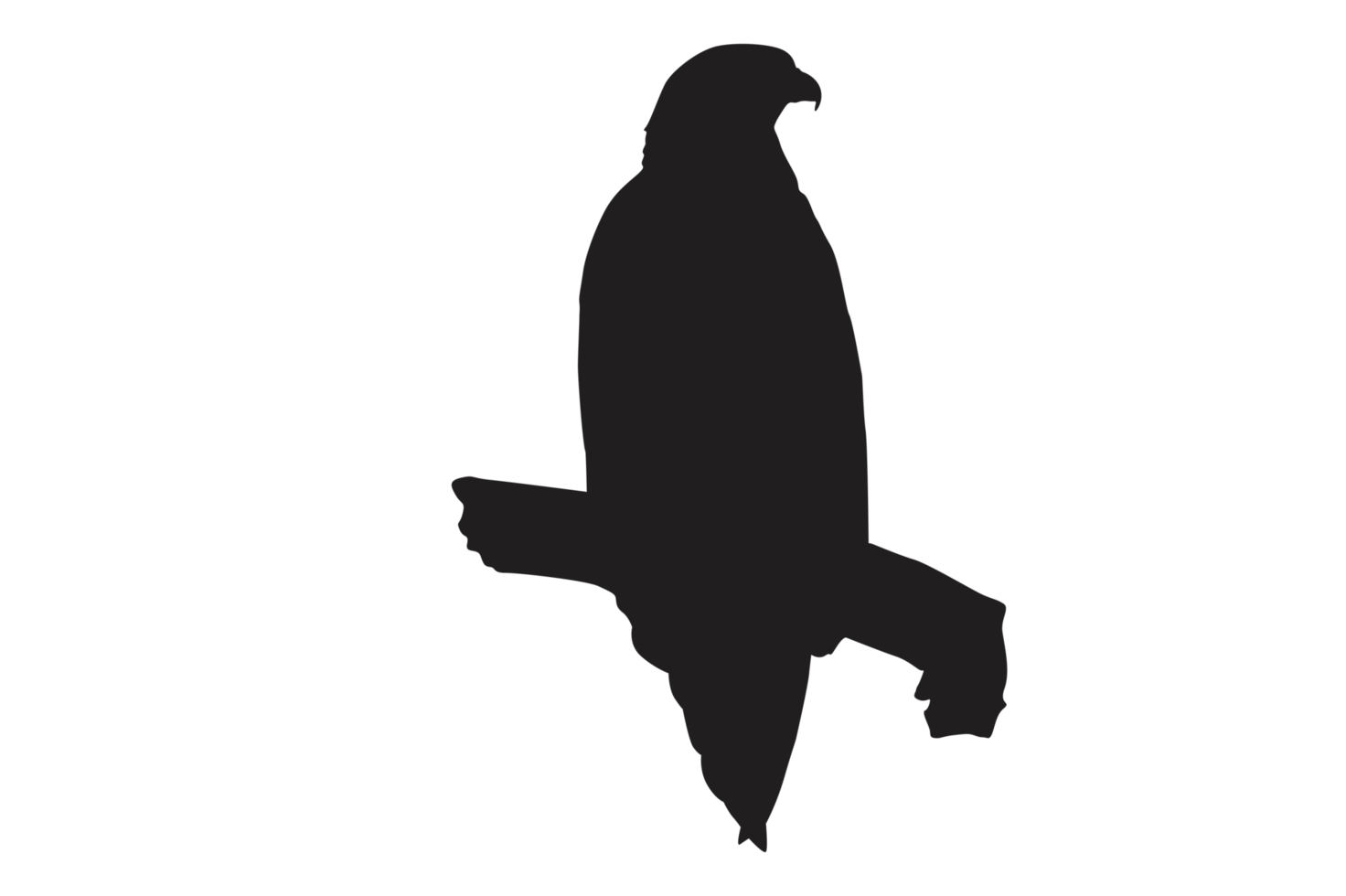 Pose Of Eagle Silhouette With Transparent Background png