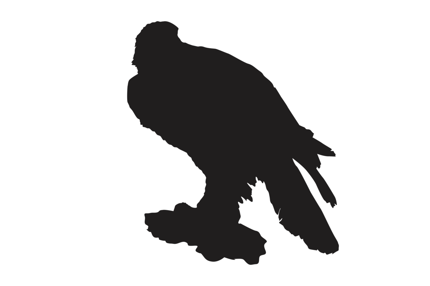 Pose Of Eagle Silhouette With Transparent Background png
