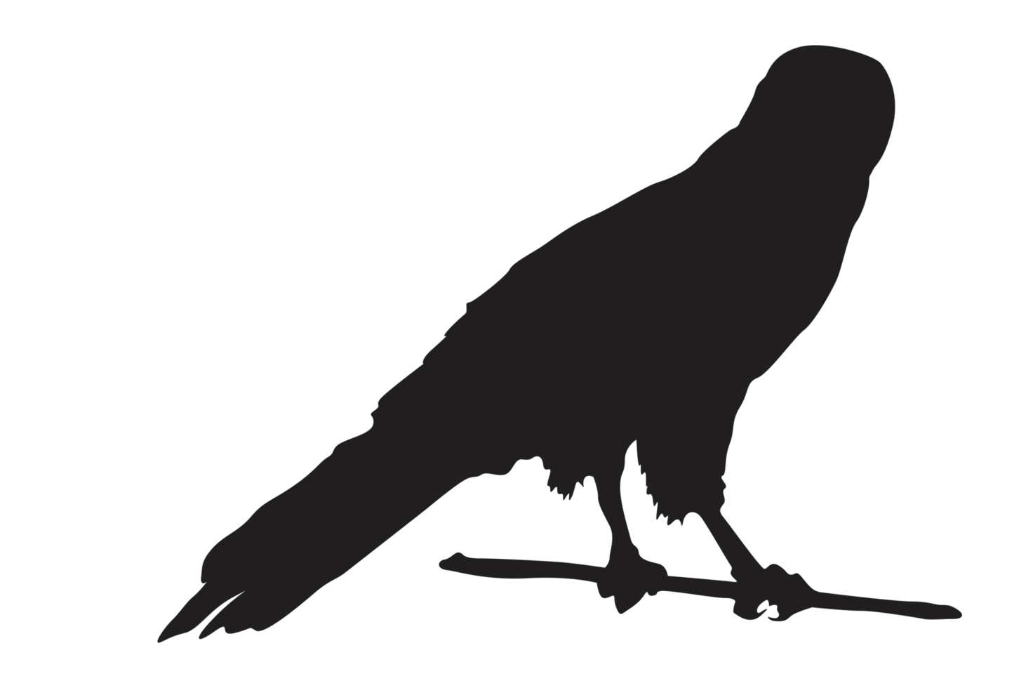 Pose Of Eagle Silhouette With Transparent Background png