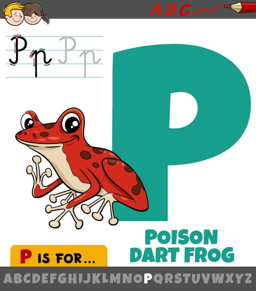 letter P from alphabet with cartoon poison dart frog vector