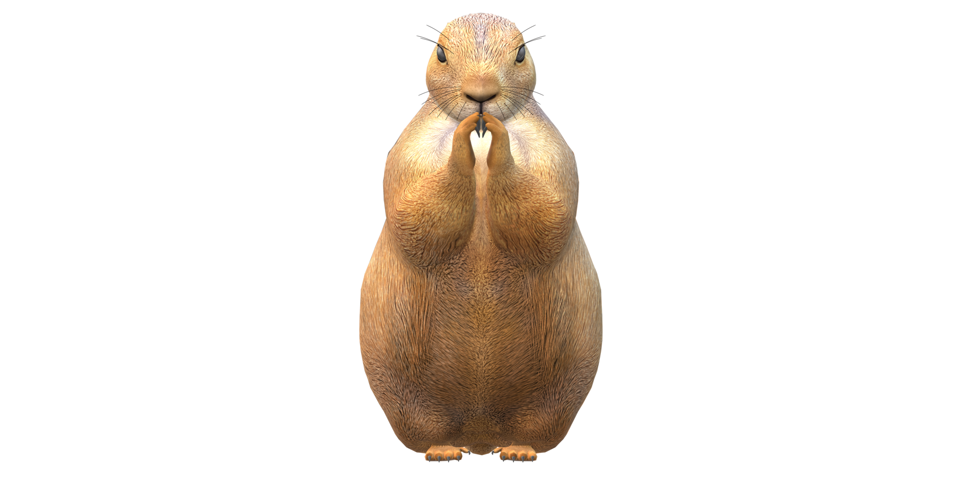 Prairie Dog isolated on a Transparent Background png