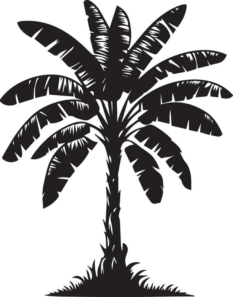 Banana tree vector silhouette illustration black color 5
