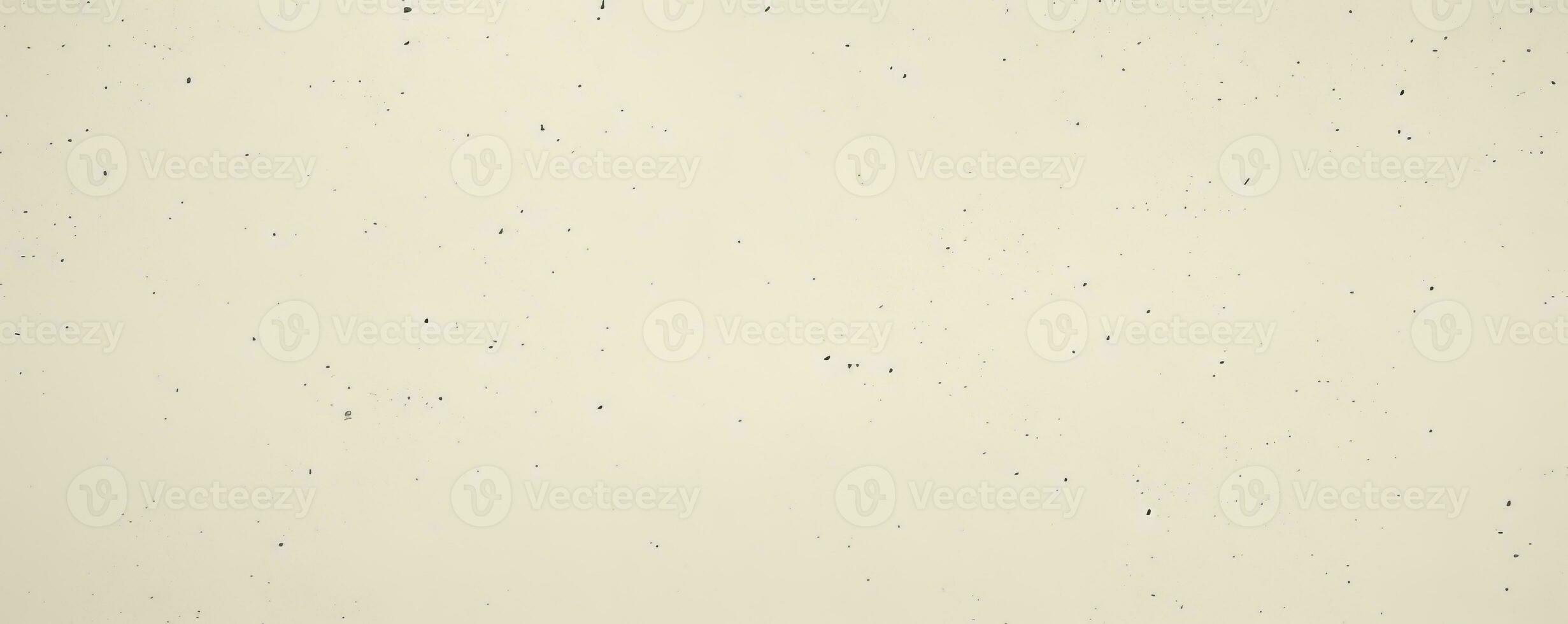 Trendy Grunge Terrazzo Flooring Texture. Modern background photo
