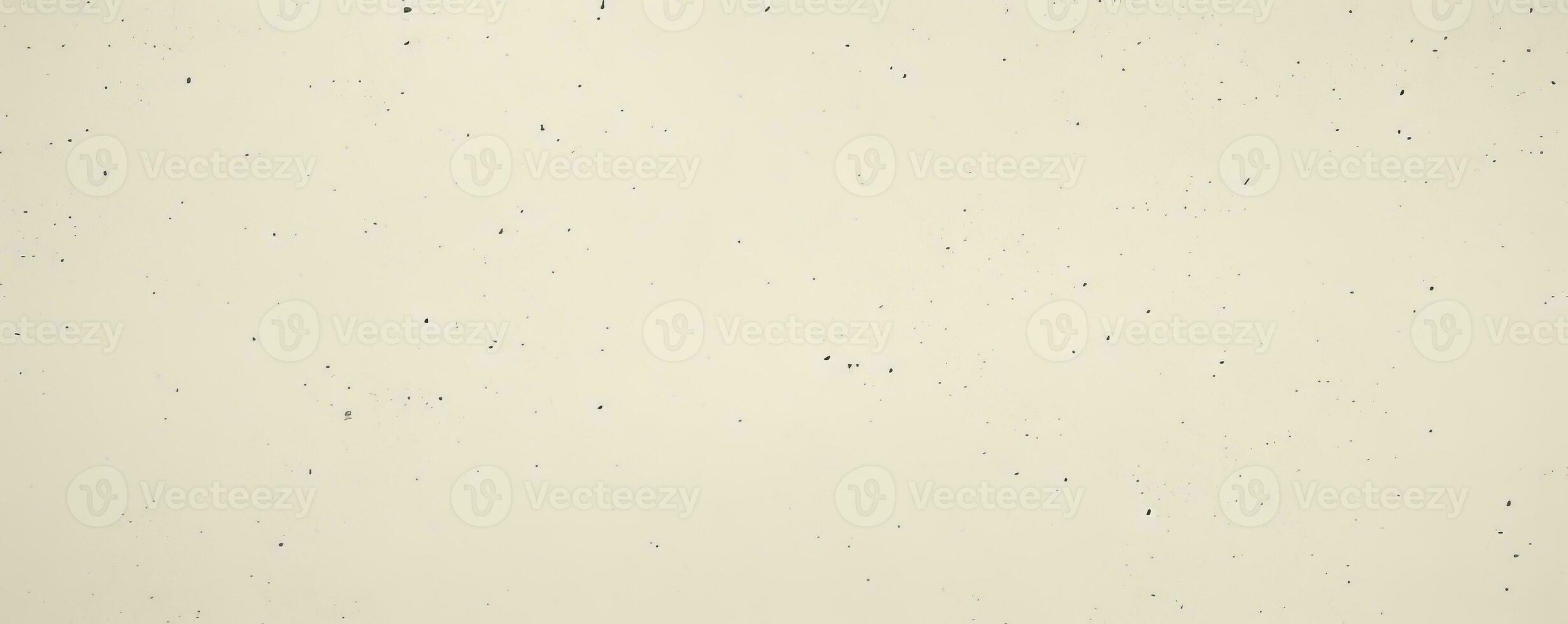 Trendy Grunge Terrazzo Flooring Texture. Modern background photo