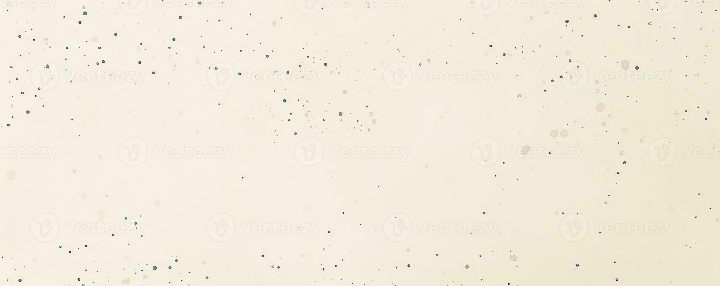 Spray Speckle Texture and Grunge Splash Effect on Dirty Grain Background photo