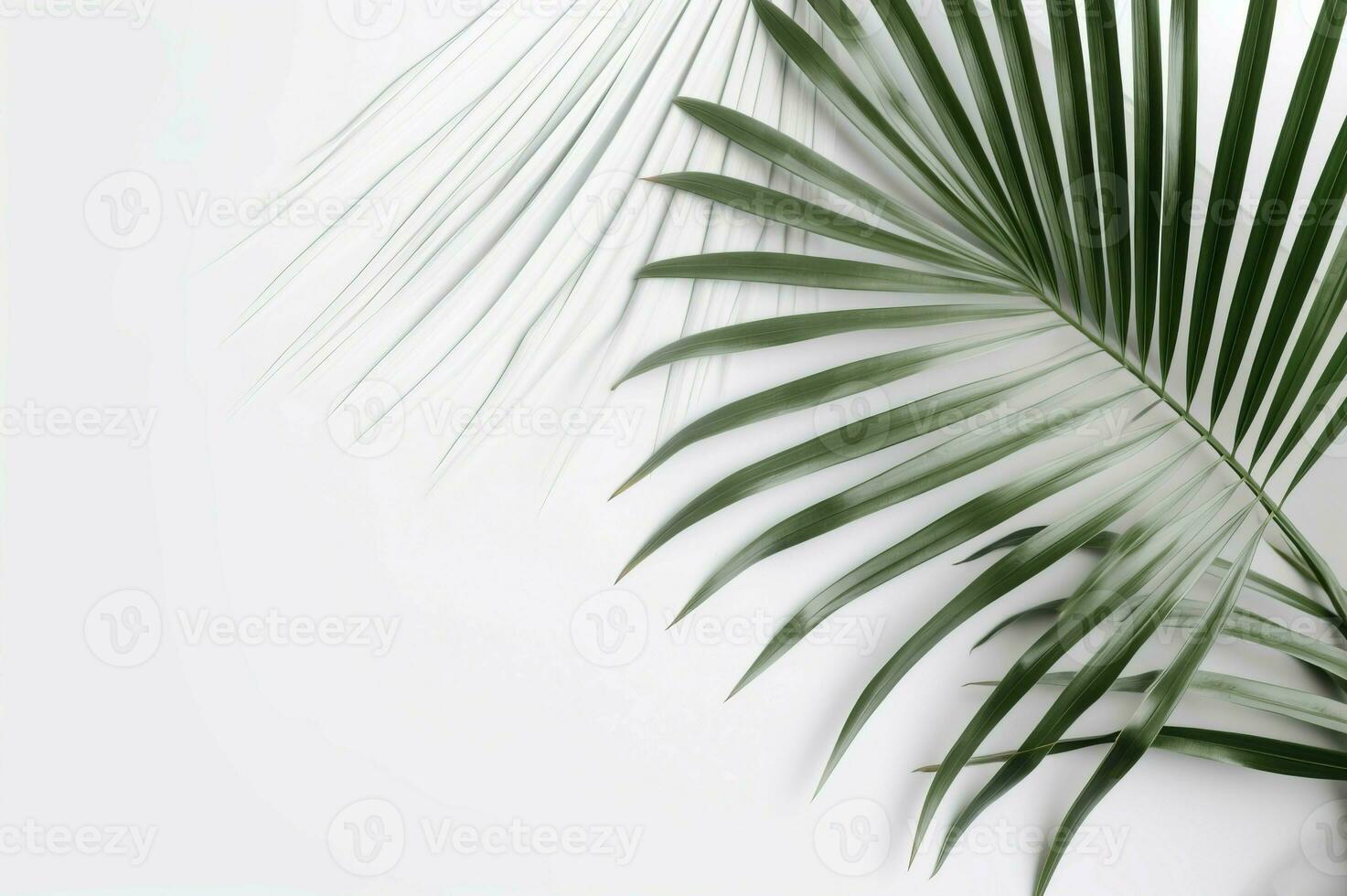 Minimalistic background palm leaf. Generate Ai photo