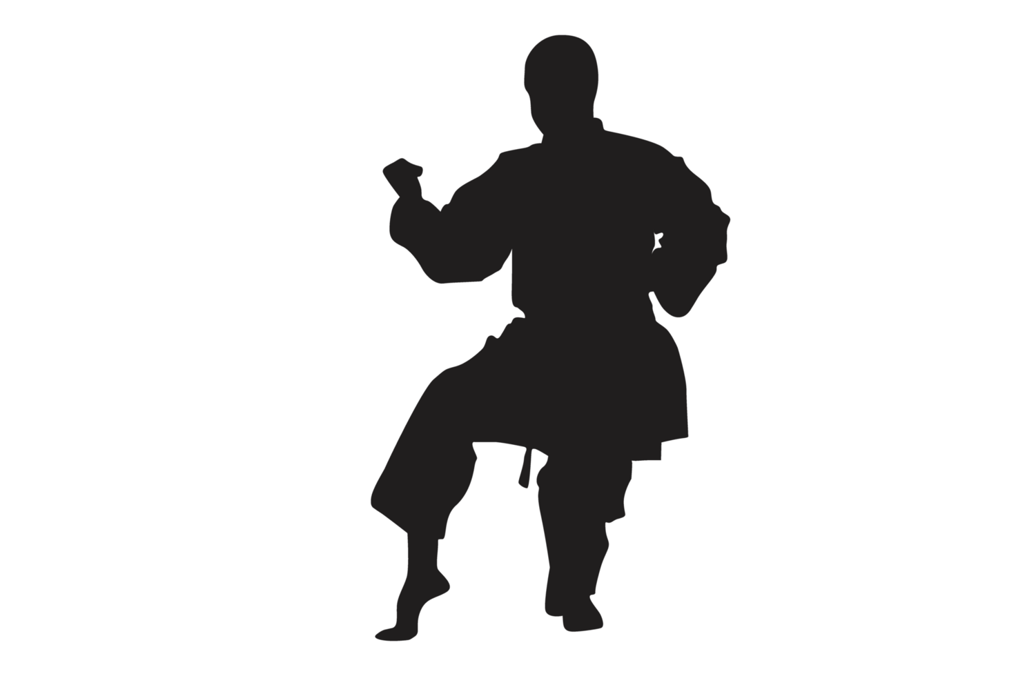 Pose Of Karate Silhouette with Transparent Background 33983881 PNG