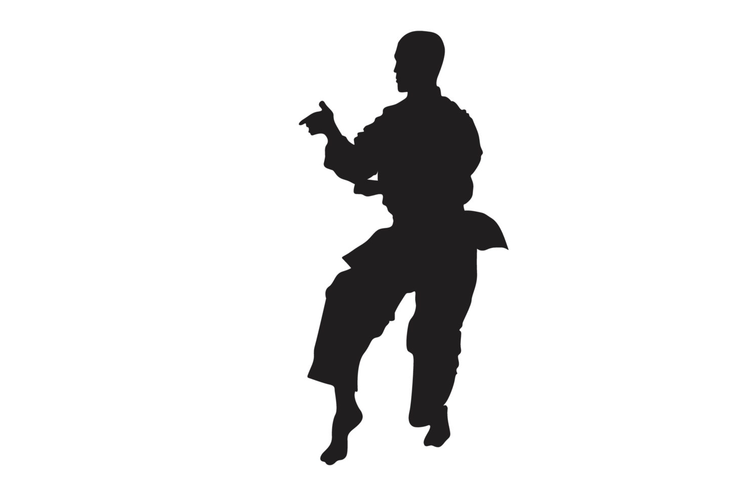 Pose Of Karate Silhouette with Transparent Background png