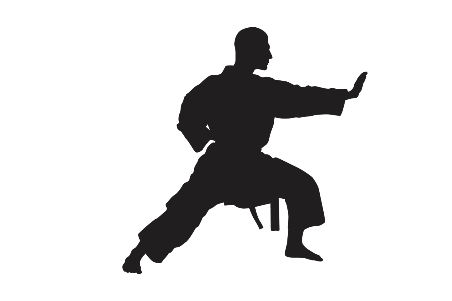 Pose Of Karate Silhouette with Transparent Background png