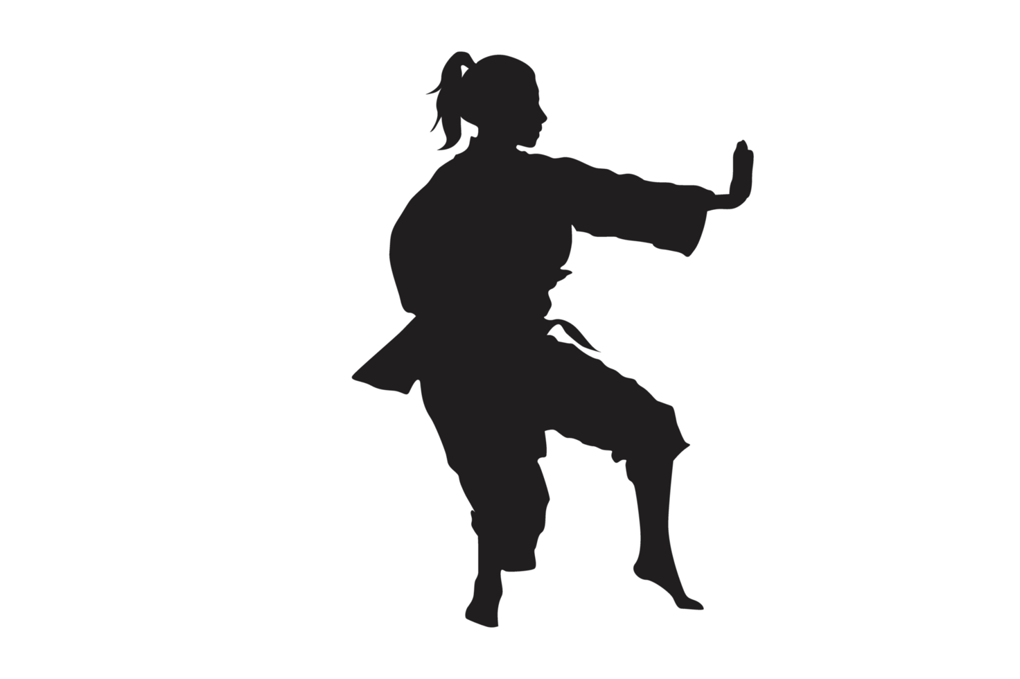 Pose Of Karate Silhouette with Transparent Background png